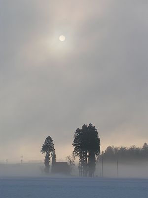 d0015124_18211659.jpg
