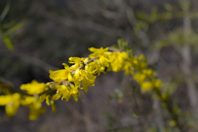 e0200926_2310931.jpg