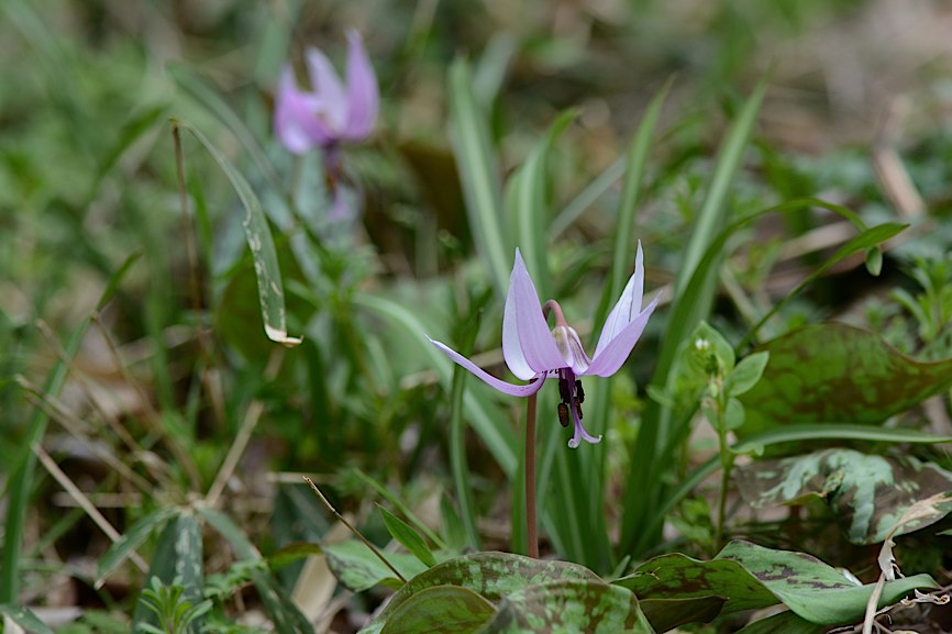 d0303129_3174913.jpg
