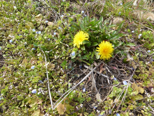 b0138430_10295945.jpg