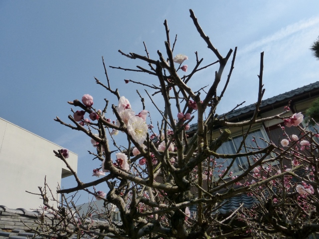b0138430_10322047.jpg
