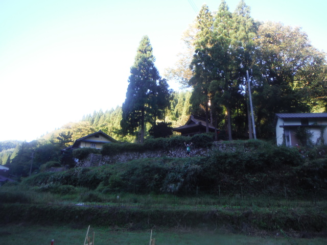 b0136931_16244135.jpg