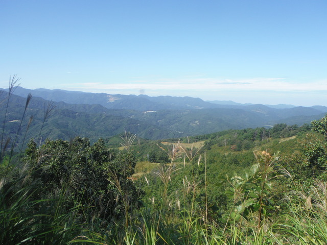 b0136931_16334646.jpg