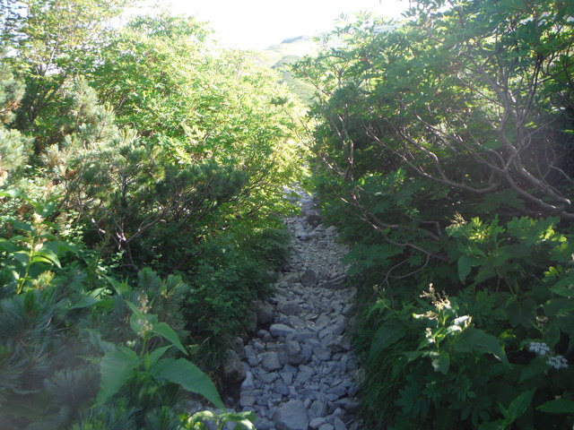 b0136931_97144.jpg