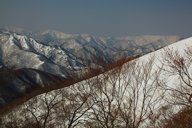 c0313231_15424757.jpg