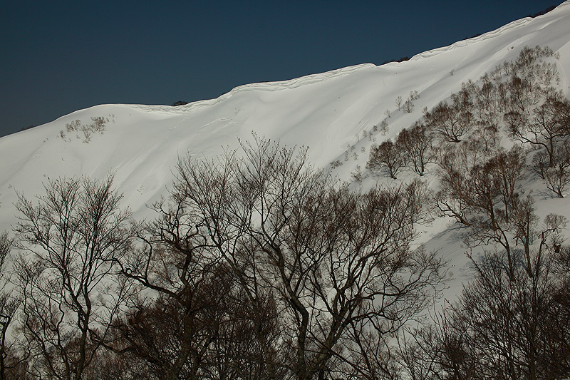 c0313231_1542868.jpg