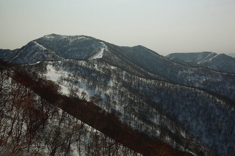 c0313231_15431285.jpg