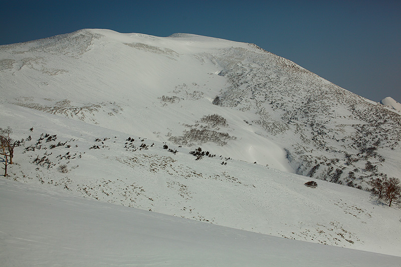 c0313231_1546434.jpg