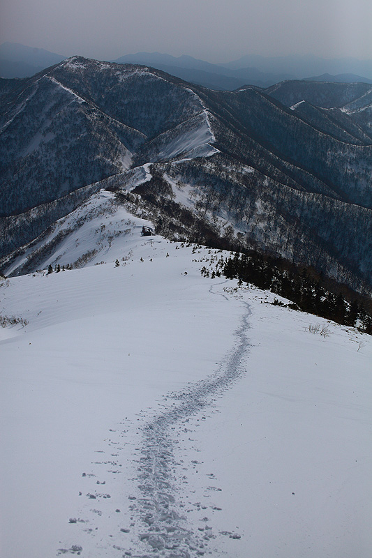 c0313231_15515731.jpg