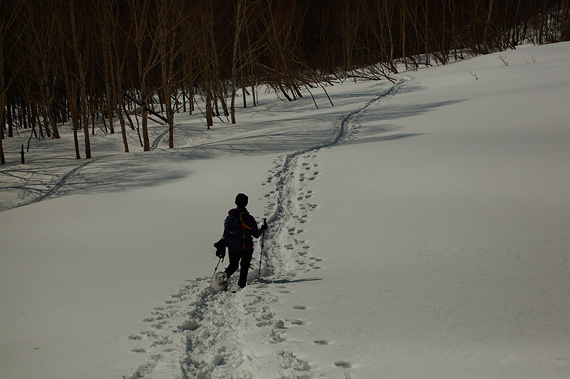 c0313231_167171.jpg