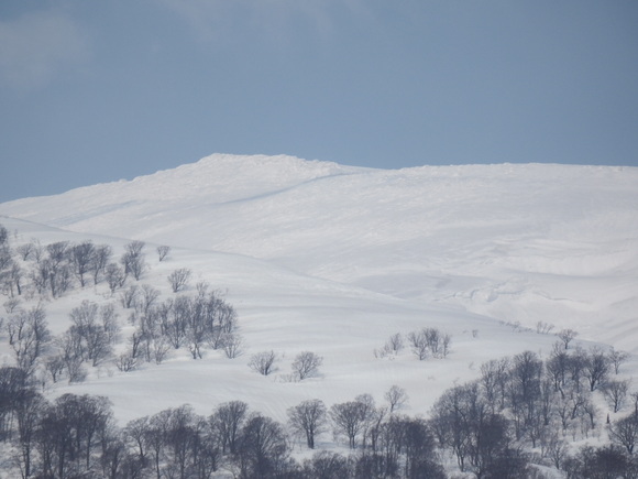 f0118332_2342932.jpg