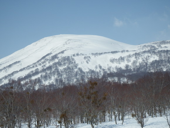 f0118332_2343916.jpg