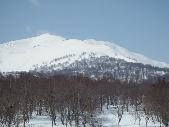 f0118332_2345016.jpg