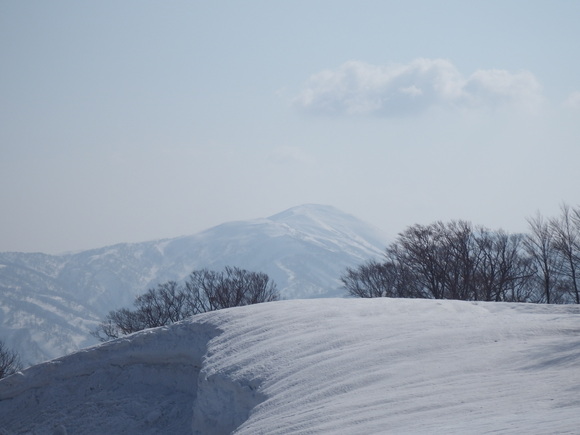 f0118332_236514.jpg