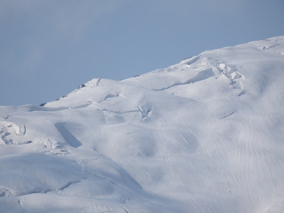 f0118332_2391959.jpg