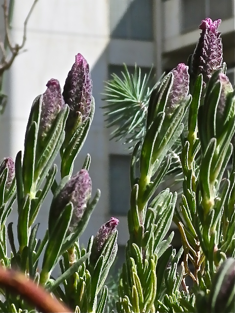 b0027736_13144225.jpg