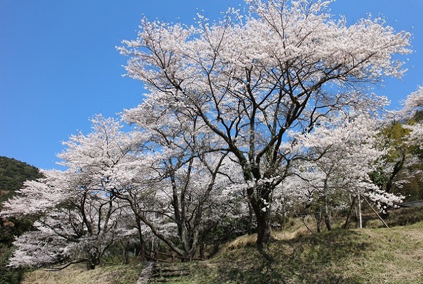 b0184636_19321836.jpg