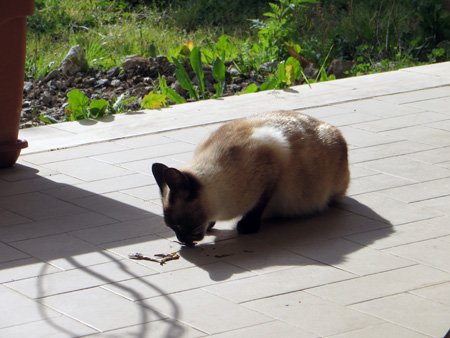 f0234936_852325.jpg