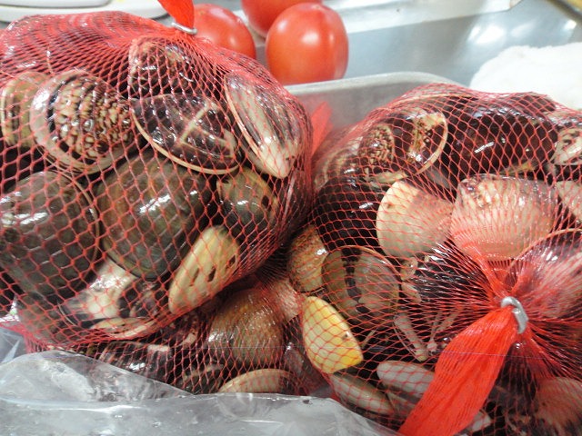 f0208737_8364017.jpg