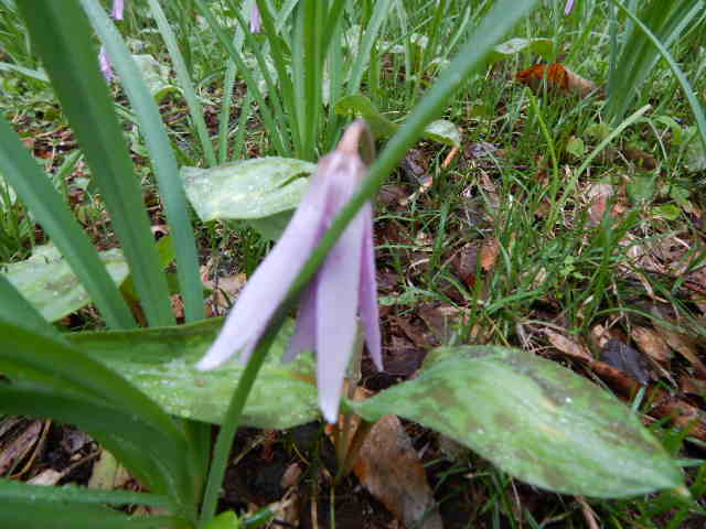 f0031546_22434115.jpg