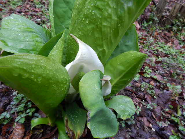 f0031546_22445099.jpg