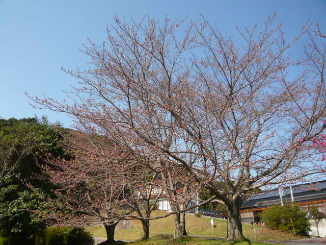 e0206847_95432100.jpg