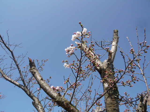 e0206847_9573120.jpg