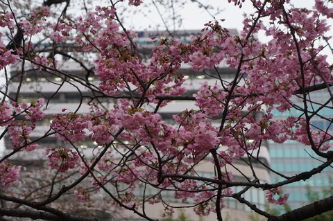 c0206352_21524323.jpg