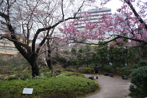 c0206352_215275.jpg