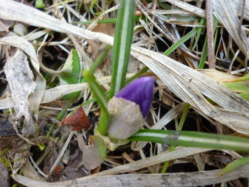 c0324959_12030800.jpg