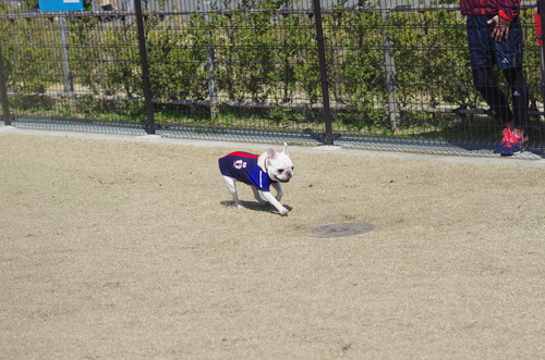 c0298565_23582487.jpg