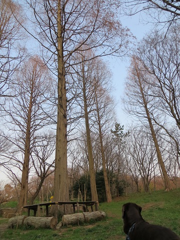d0120665_2111428.jpg