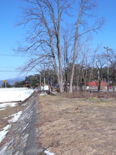 c0166668_835970.jpg