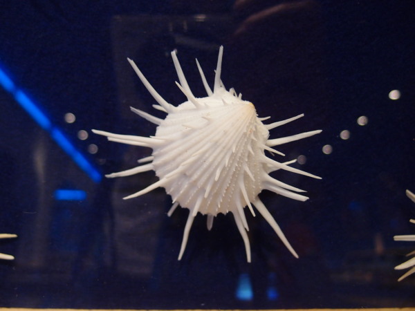 c0122670_00450980.jpg