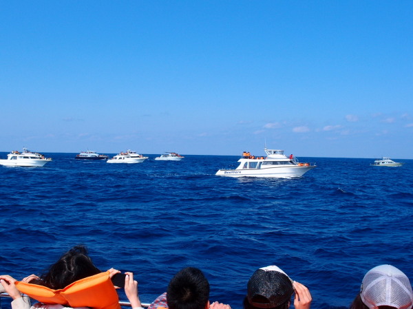 c0122670_22171392.jpg
