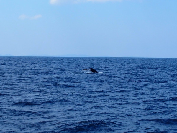 c0122670_22172240.jpg