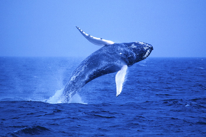 c0122670_23005550.jpg