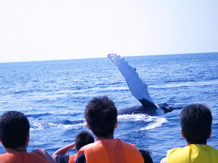 c0122670_23022263.jpg