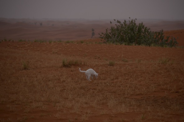 e0066474_220488.jpg