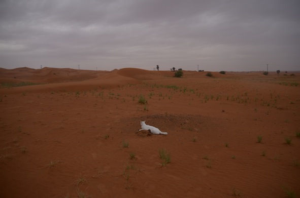 e0066474_2212311.jpg