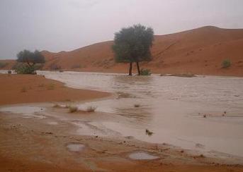 e0066474_2514914.jpg