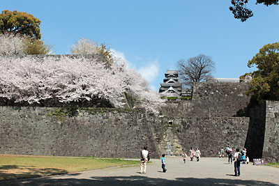 c0152779_19473483.jpg