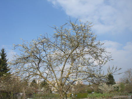 a0247585_7251068.jpg