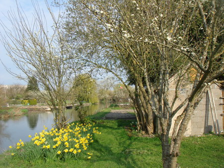 a0247585_731619.jpg
