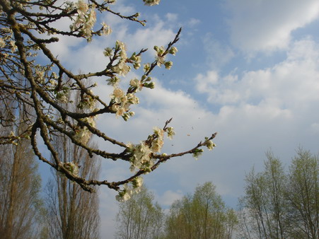 a0247585_7334992.jpg