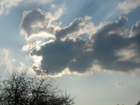 a0247585_738064.jpg