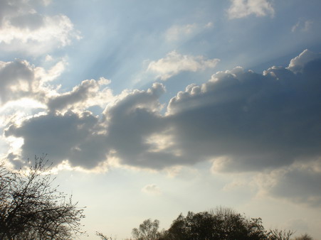 a0247585_7383697.jpg