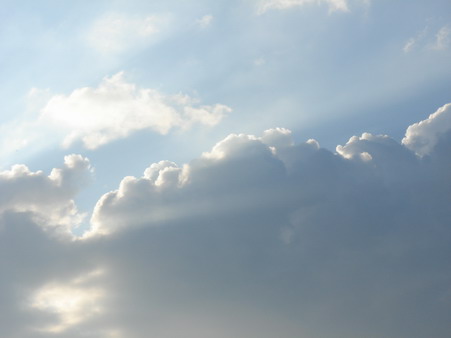 a0247585_739010.jpg