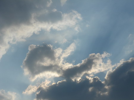 a0247585_7392423.jpg