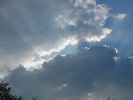 a0247585_7395029.jpg